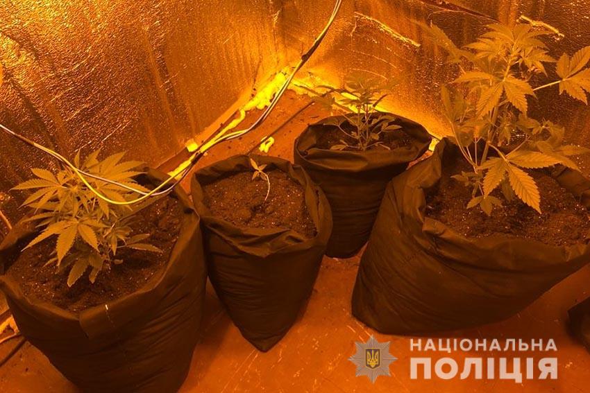 Поліцейські вилучили у жителя Дніпропетровщини наркотиків та психотропів на майже 400 тисяч гривень